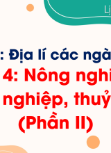 Bài 4. Nông nghiệp, lâm nghiệp, thuỷ sản (Phần II)